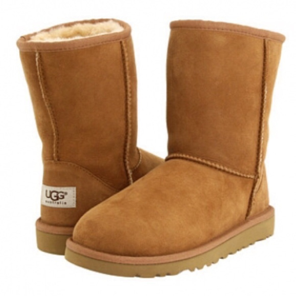 Classic Short Chestnut Uggs